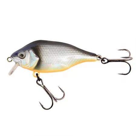 Fox Rage - Funk Bug Wobbler 40 SR - UV Silver Baitfish