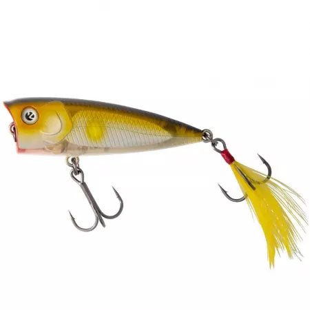 Zeck Vito 6cm / Surface F - Ayu
