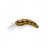 Herakles Wobbler Moth "Aitaro" 2,4g