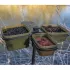 Korum Compact Bait Waiter Set inkl. 4 Boxen
