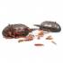 Korum Mini Grub Feeders - 15g