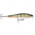 Rapala BX Minnow 10cm - Redfin Perch