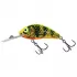Salmo Rattlin Hornet 5,5cm - Gold Fluo Perch