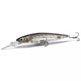 Nays bietet ein riesen Raubfisch...