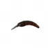 Herakles Wobbler Moth "Chocolate" 2,4g