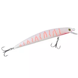 Balzer bietet ein riesen Raubfis...