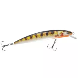 Balzer bietet ein riesen Raubfis...