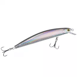 Balzer bietet ein riesen Raubfis...