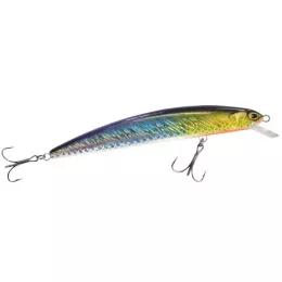 Balzer bietet ein riesen Raubfis...