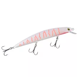 Balzer bietet ein riesen Raubfis...