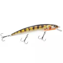 Balzer bietet ein riesen Raubfis...