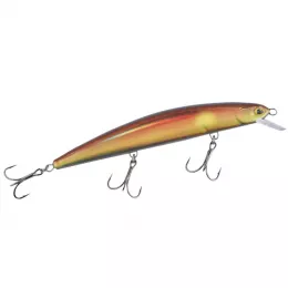 Balzer bietet ein riesen Raubfis...