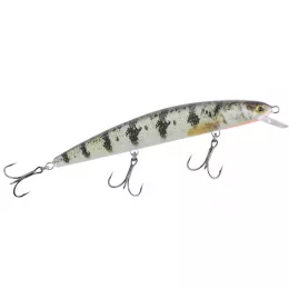 Balzer bietet ein riesen Raubfis...