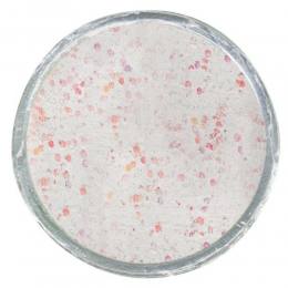 Berkley PowerBait in verschieden...