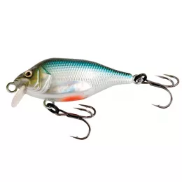 Fox Rage ein riesen Raubfischpro...