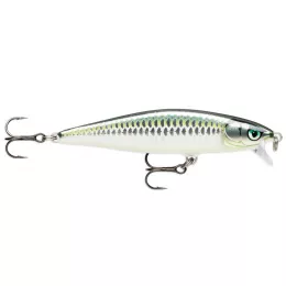 Rapala bietet ein riesen Raubfis...