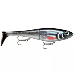 Rapala bietet ein riesen Raubfis...