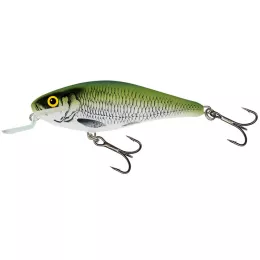 Salmo ist einer der Markführer i...