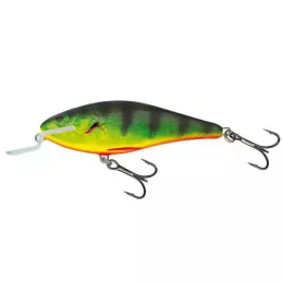 Salmo ist einer der Markführer i...