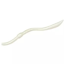 Wir bieten Euch eine Vielzahl an...