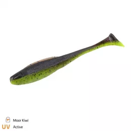 Zeck Artikel, ob Raubfisch, Fore...