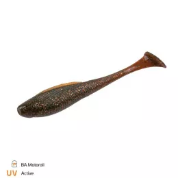 Zeck Artikel, ob Raubfisch, Fore...