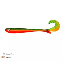 Zeck Artikel, ob Raubfisch, Fore...