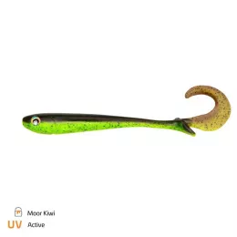 Zeck Artikel, ob Raubfisch, Fore...