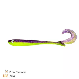 Zeck Artikel, ob Raubfisch, Fore...