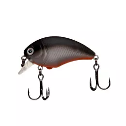 Zeck Artikel, ob Raubfisch, Fore...