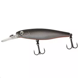 Zeck Artikel, ob Raubfisch, Fore...