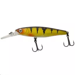 Zeck Artikel, ob Raubfisch, Fore...