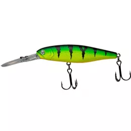 Zeck Artikel, ob Raubfisch, Fore...