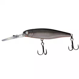 Zeck Artikel, ob Raubfisch, Fore...