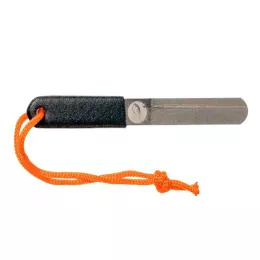 Zeck Artikel, ob Raubfisch, Fore...