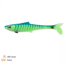 Zeck Artikel, ob Raubfisch, Fore...